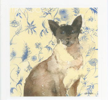 124 -Carte postale double