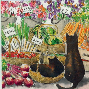 133 -Carte postale double