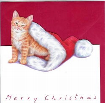 170 -Carte de Noël