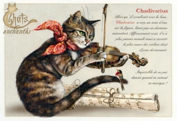 291 -Carte postale simple