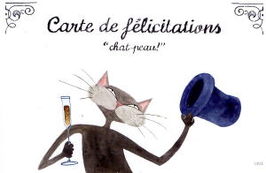 2528 -Carte de félicitations "chat-peau!"