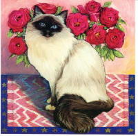 544 -Chat birman- Isy Ochoa