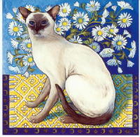546 -Chat siamois - Isy Ochoa