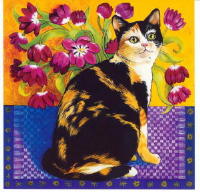 547 -American Wirehair - Isy Ochoa