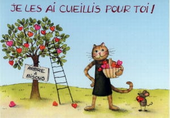 567 -Je les ai cueillis pour toi