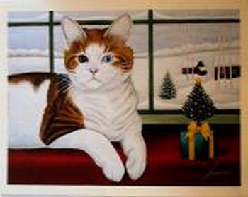 753 -Carte postale double