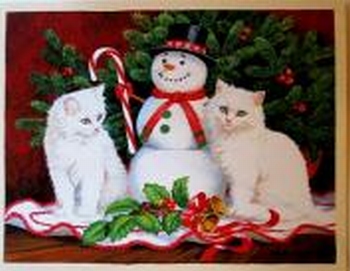 754 -Carte postale double