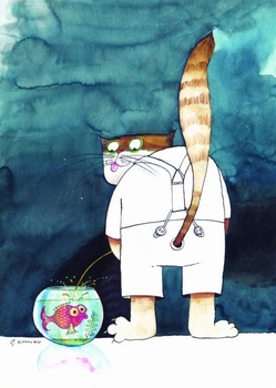 803 -C'est du pipi de chat