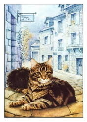 805 -Histoires