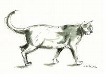 815 -Dessin à l'encre - Le chat gris