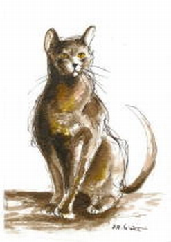 816 -Dessin à l'encre - Le chat marron