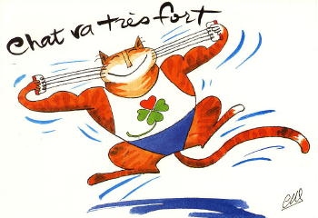 1037 -Chat va très fort