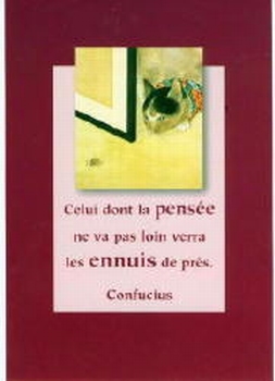 1352 -Le chat et l'araignée