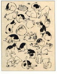 1355 -Chats