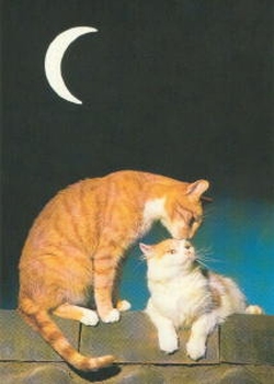 2264 -Carte postale simple