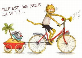 2482 - Elle est pas belle la vie?