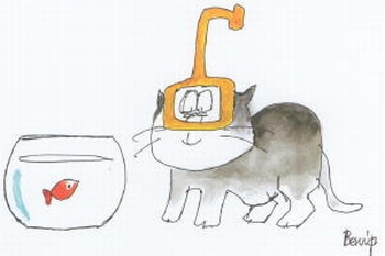 2531 -Aquatique