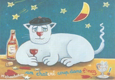 2576 -Un chatcré coup dans l'nez