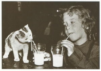 2596 -La fillette et le chaton