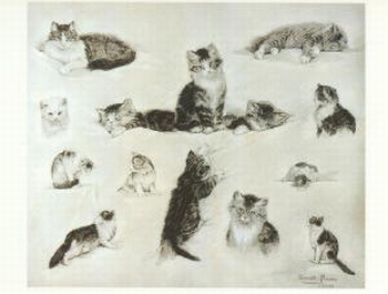 2598 -Dessin d' Henriette Ronner-Knip