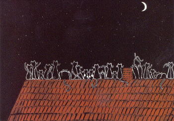2606 -Nuit féline