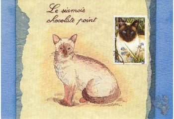 2607 -Le siamois
