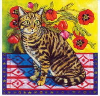 368 -Chat européen - Isy Ochoa