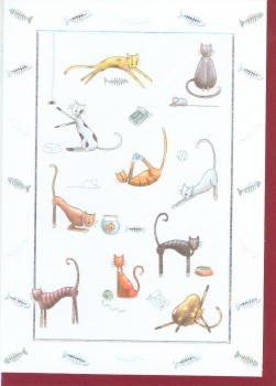 1111 -Positions de chats