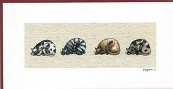 1468 -Les chats dorment