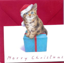 172 -Carte de Noël