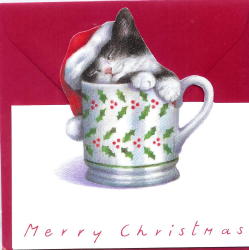 729 -Carte de Noël