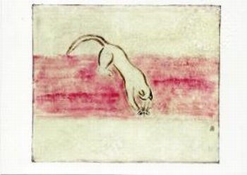 304 -Carte double et enveloppe