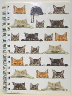 1473 -Carnet de notes