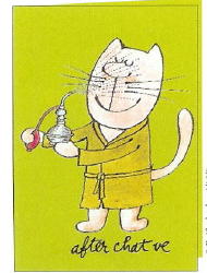 391 -Carnet -" After cha ve "