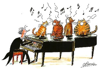 2604 - Choeur de chat