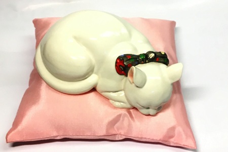 1619 - Chat blanc couché sur un coussin rose