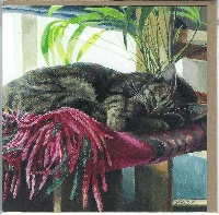 2218 -Le chat et son plaid