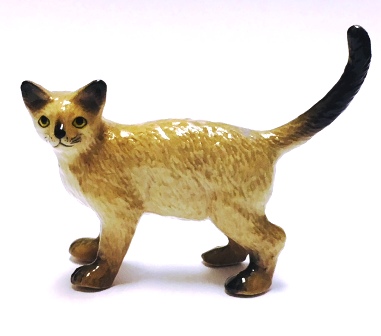 1342 - Chat beige debout