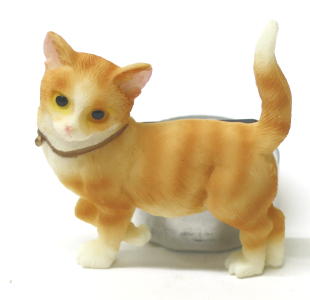 2420 -Le chat roux debout