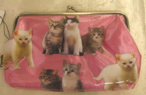 439 -Pochette/ porte monnaie